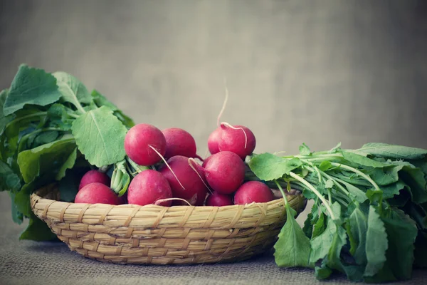 Radishes in a basket — Stock Photo, Image