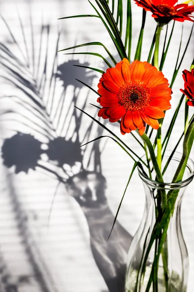 Orange blomma — Stockfoto