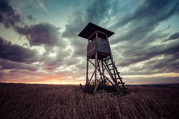 High hunting seat — Stock Photo, Image