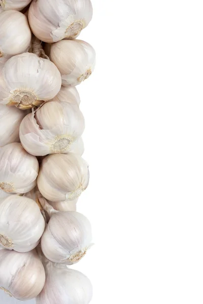 Bund Knoblauch — Stockfoto