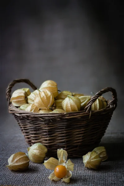 Gooseberry — Stock Photo, Image