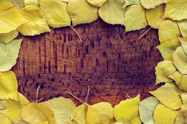 Sarı yaprakları kapatmak — Stok fotoğraf