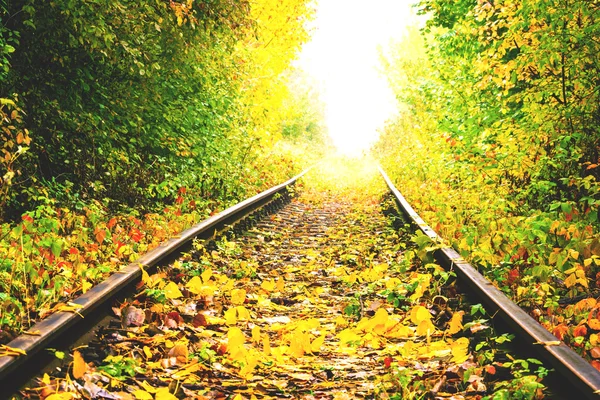 Outono na estrada de ferro — Fotografia de Stock