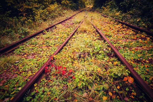 Herfst aan de spoorweg — Stockfoto