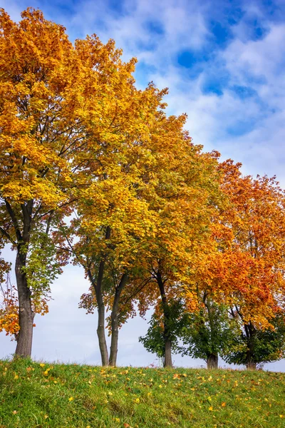 Barevný podzimní rybník — Stock fotografie