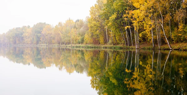 Jesień las refleksje — Zdjęcie stockowe