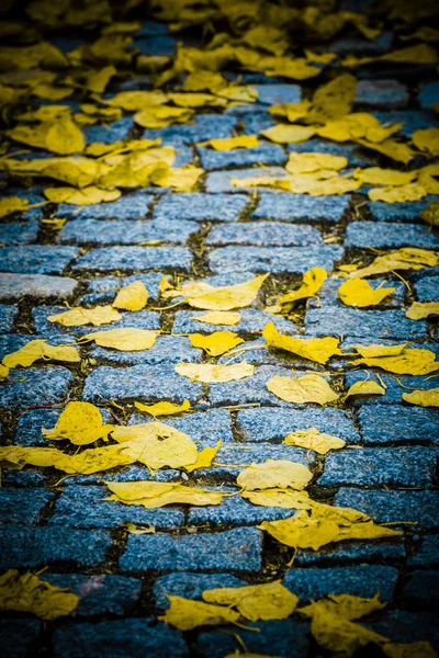 花崗岩の石畳の道 — ストック写真