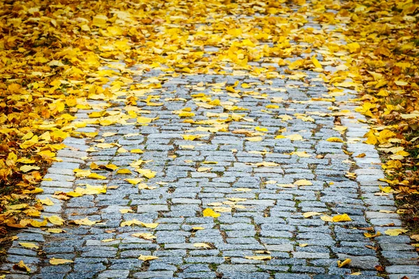 花崗岩の石畳の道 — ストック写真