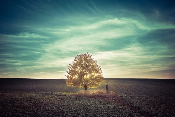 Autumn lonely linden and cross — Stock Photo, Image