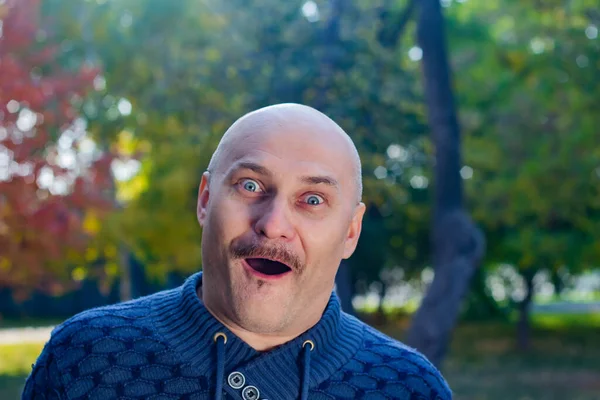 Portrait of a bald man with positive emotions in a blue sweater in the park