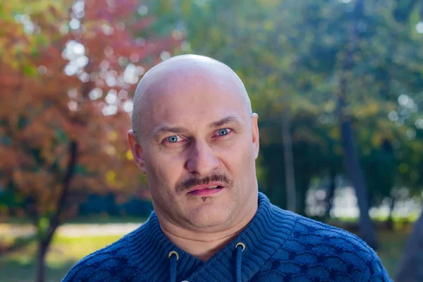 Portrait of a bald man with negative emotions in a blue sweater in a park