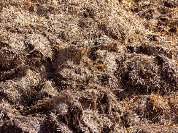 İnek gübresi, kırsal alan.