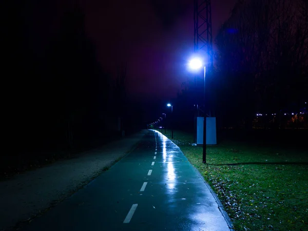 Sessiz, sisli bir gecede ağaçlar ve sokak lambaları