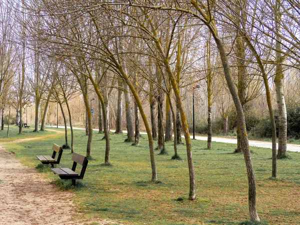 秋天公园里的一张旧长椅 — 图库照片