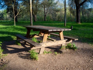 Şafak vakti halk ormanında eski bir piknik masası.