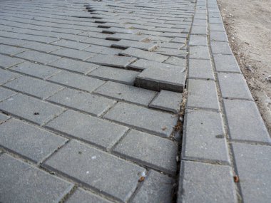 Çam ağacının etrafındaki tuğlalar büyüme ve dikkatsizlikten zarar görmüş.