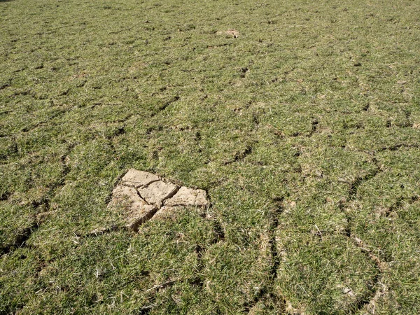 Los campos están secos, el suelo está roto y la hierba — Foto de Stock