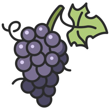 meyve ikonu. Vektör çizimi. üzümler
