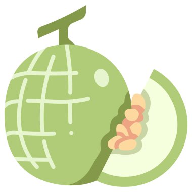 meyve ikonu. Vektör çizimi. kavun