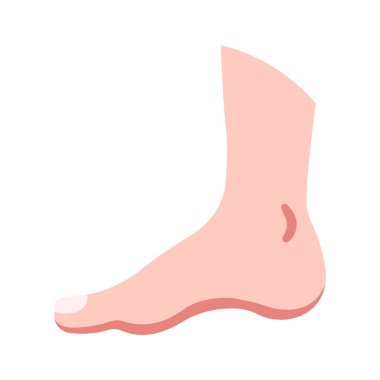 İnsan vücudu ikonu, vektör çizimi. ayak