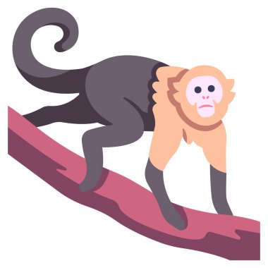 Amazon Konsepti 'nin Hayatı. Vahşi yaşam vektör illüstrasyonu, kapuçin