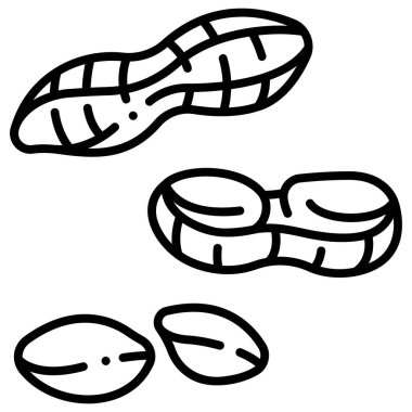 Taze organik gıda ikonu, vektör çizimi. yer fıstığı