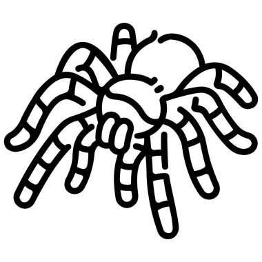 Amazon Konsepti 'nin Hayatı. Vahşi yaşam vektör illüstrasyonu, tarantula