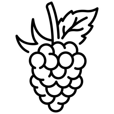 meyve ikonu. Vektör çizimi. ahududu