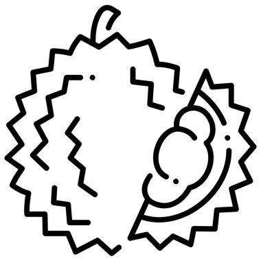 meyve ikonu. Vektör çizimi. durian