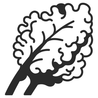 Sebze ikonu. Vektör çizimi. Lahana