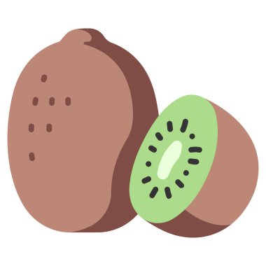 meyve ikonu. Vektör çizimi. kiwifruit