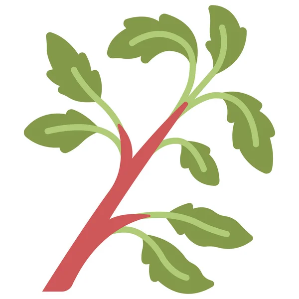 Иконка Свежей Органической Пищи Векторная Иллюстрация Базилик — стоковый вектор