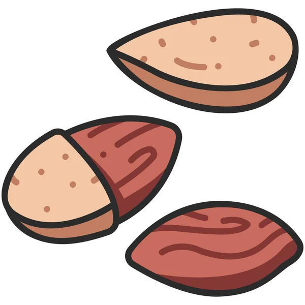 Ikon Makanan Organik Segar Ilustrasi Vektor Kacang Almond - Stok Vektor