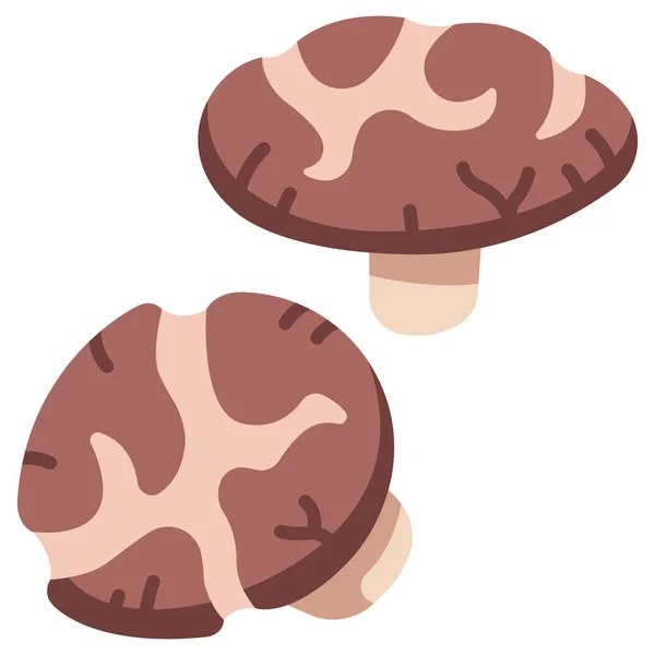 Ícone Vegetal Ilustração Vetorial Cogumelos Shiitake — Vetor de Stock