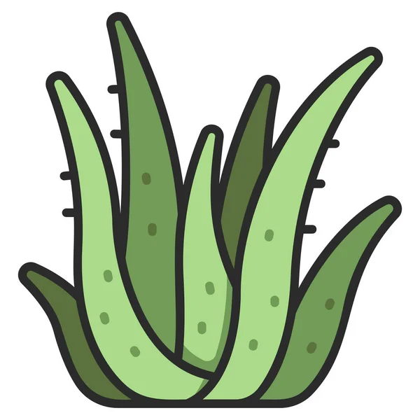 Icono Alimentos Orgánicos Frescos Ilustración Vectorial Aloe Vera — Vector de stock