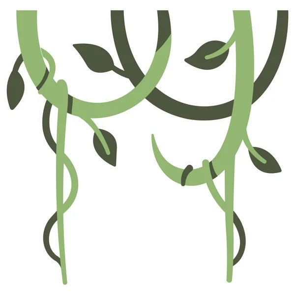 아마존의 일러스트 포도나무 — 스톡 벡터
