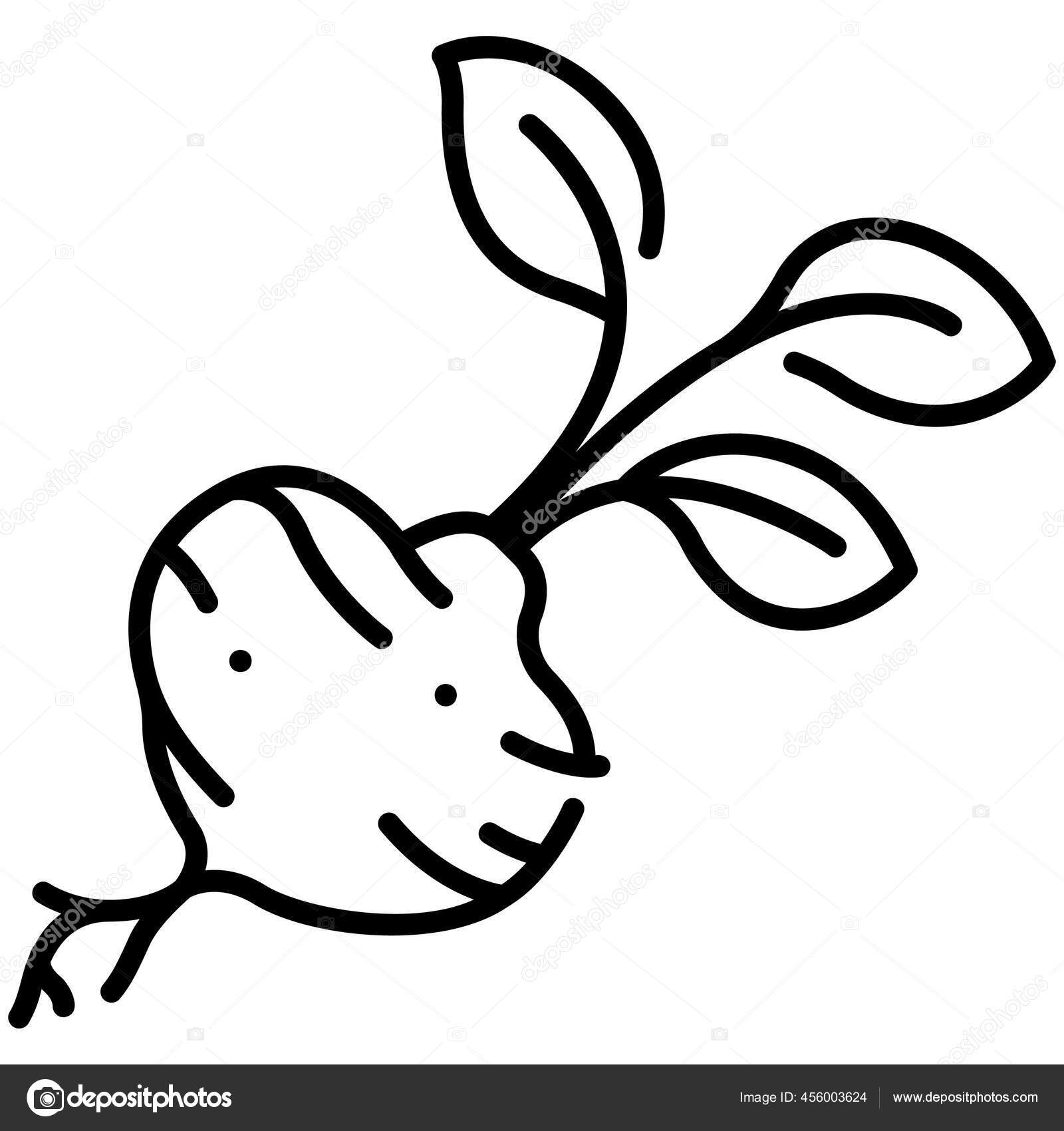 Lista 97+ Foto Que Es La Jicama Verdura O Fruta Alta Definición