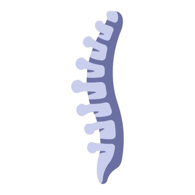 İnsan vücudu ikonu, vektör çizimi. Omurga