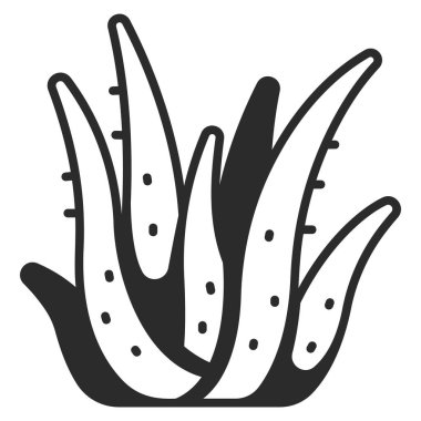 Taze organik bitki ikonu, vektör çizimi. aloe vera 