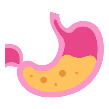 İnsan vücudu ikonu, vektör çizimi. mide