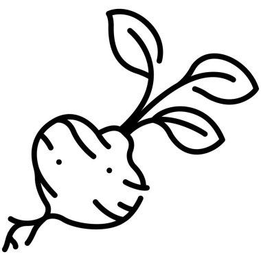 Sebze ikonu. Vektör çizimi. jicama