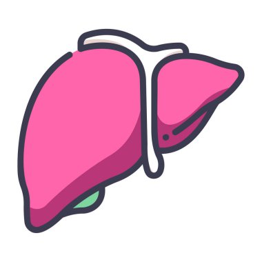 İnsan vücudu ikonu, vektör çizimi. karaciğer