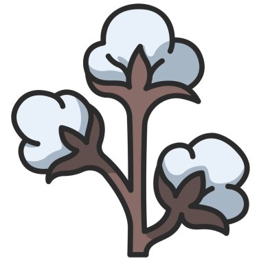 Taze organik bitki ikonu, vektör çizimi. Pamuk