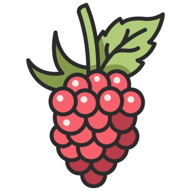 meyve ikonu. Vektör çizimi. ahududu