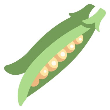 Sebze ikonu. Vektör çizimi. fasulye