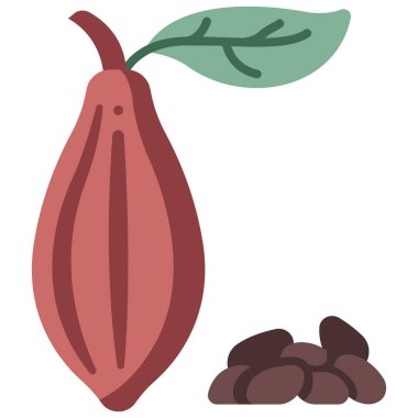 Taze organik gıda ikonu, vektör çizimi. Kakao