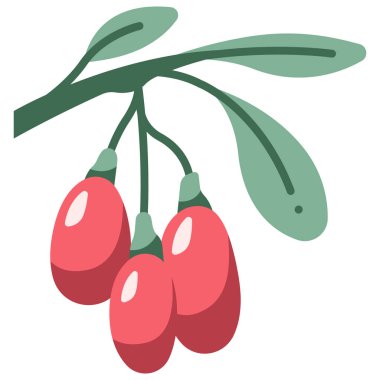 meyve ikonu. Vektör çizimi. Goji üzümü