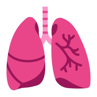 İnsan vücudu ikonu, vektör çizimi. akciğerler