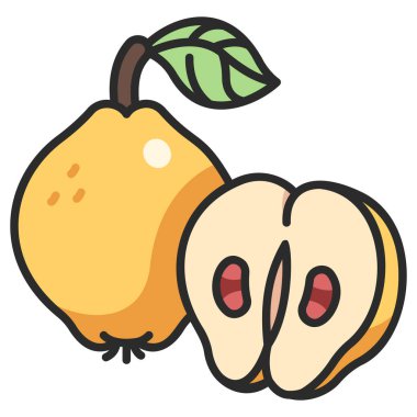 meyve ikonu. Vektör çizimi. Ayva