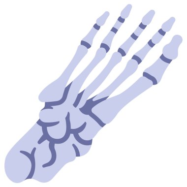 İnsan vücudu ikonu, vektör çizimi. ayak kemikleri